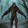 Bigfoot Yeti Gorilla Sasquatch icon