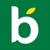 BlédiClub icon