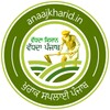 Anaaj Kharid Punjab icon