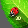 Bugs Life 3D Free - 3D Live Wa icon