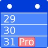 Calendar Pro - Agenda icon