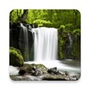 Relax Forest icon