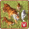 Wild Life Tiger Simulator 2016 icon