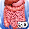 Digestive System Anatomy icon