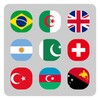 Weltflagge-Quiz icon