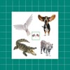 English Animals Vocabulary icon