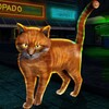 Stray Cat Simulator icon