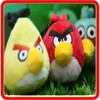 Birds Games icon