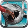 Wild Shark Attack Simulator 3D icon