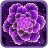 Purple Flowers icon