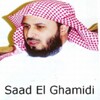 Saad Al Ghamdi Quran MP3 icon