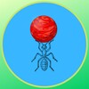 Ant Catch icon