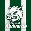 Palmeiras | FUT+ icon