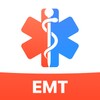 EMS icon