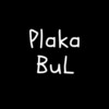 Plaka Bul icon
