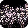 Cherry Blossom Blizzard Theme icon