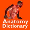 Anatomy Dictionary icon