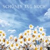 Schönen Tag Bilder icon