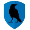 RiseupVPN icon