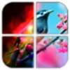 Pic Frame Effects icon