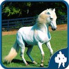 Icono de Horse Jigsaw Puzzles