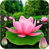 Flower Live Wallpaper 3D icon