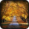 Icona di Autumn Wallpapers