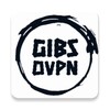 Icono de GIBS OVPN