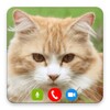 Cat Video Call/Fake Video Call icon