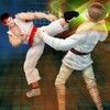 Street Karate Fighting 2021: Kung Fu Tiger Battle icon