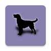 Pictogramă Dog Breeds