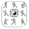 Technique Gallery Of TaiChi icon