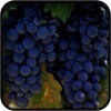 Grapes Wallpapers icon
