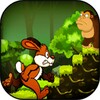 Ícone de Jungle Bunny Run