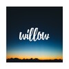 Willow 아이콘