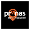 Prunas icon