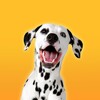 Dalmatian Dog Simulator icon