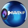 RAVEN IP icon