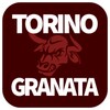 Torino Granata icon