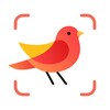 Picture Bird - Bird Identifier icon