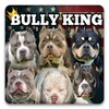 BULLY KING icon