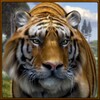 Wild Tiger Simulator icon