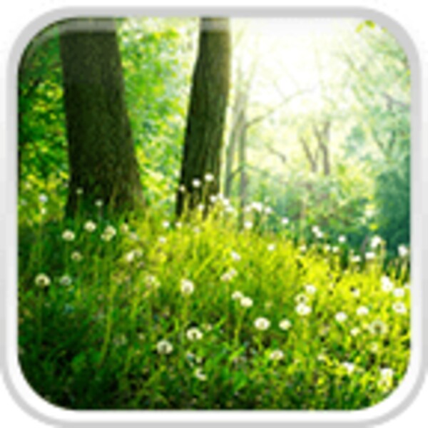 Forest Live Wallpaper for Android - Download the APK from Uptodown