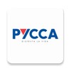 Pycca icon