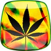 Rasta Marijuana Fond décran icon