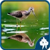 Reflection Jigsaw Puzzles 图标