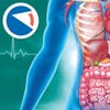 Pictogramă Anatomia Super