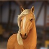 HorseHotel - Care for horses 아이콘