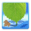 Medicinal Plants & Herbs icon