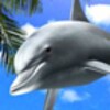 Dolphin Blue Trial icon